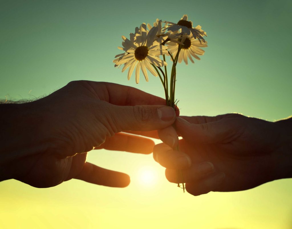 a person hands two daises to another person in bright sunshine